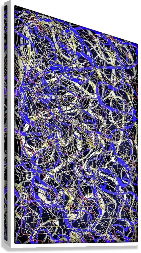 V956 Canvas Print