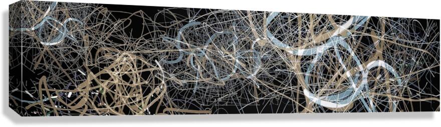 V957 Canvas Print