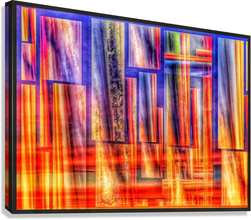 V959 Canvas Print