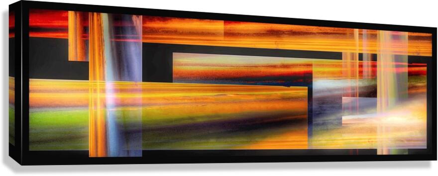 V960 Canvas Print