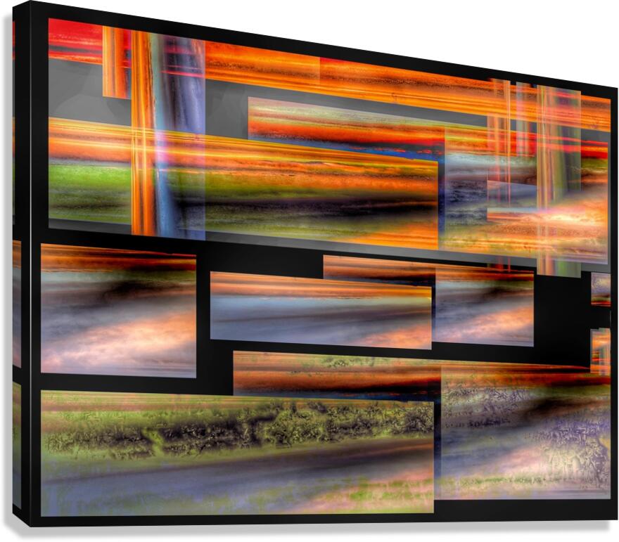 V961 Canvas Print