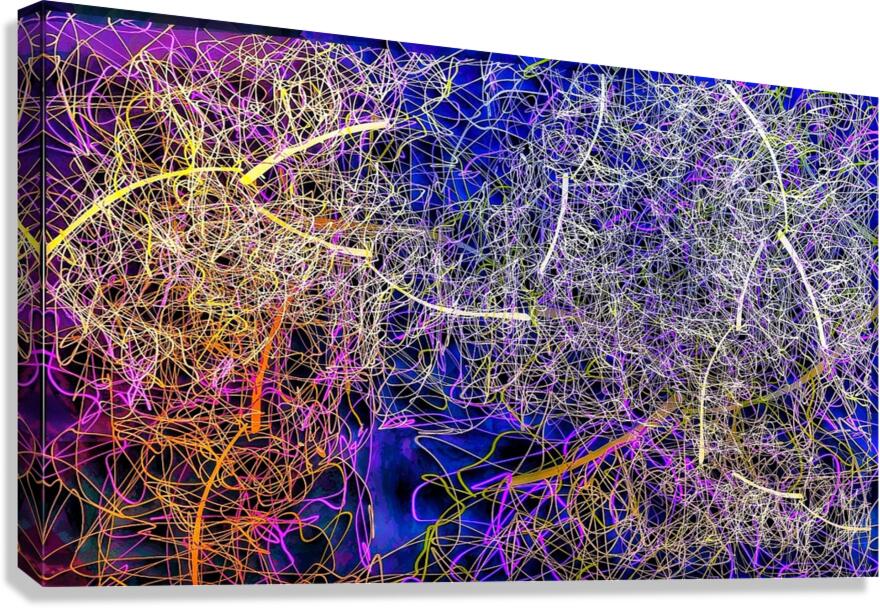 V963 Canvas Print