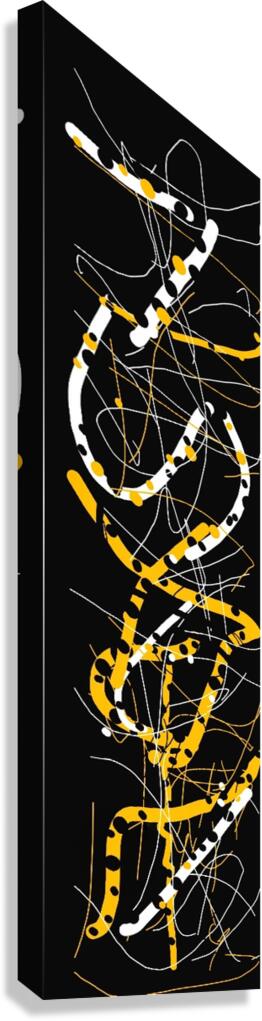 V964 Canvas Print
