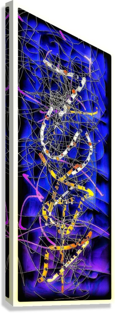 V965 Canvas Print