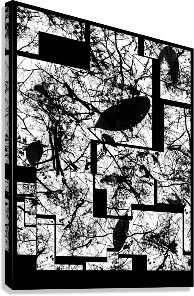 V975 Canvas Print