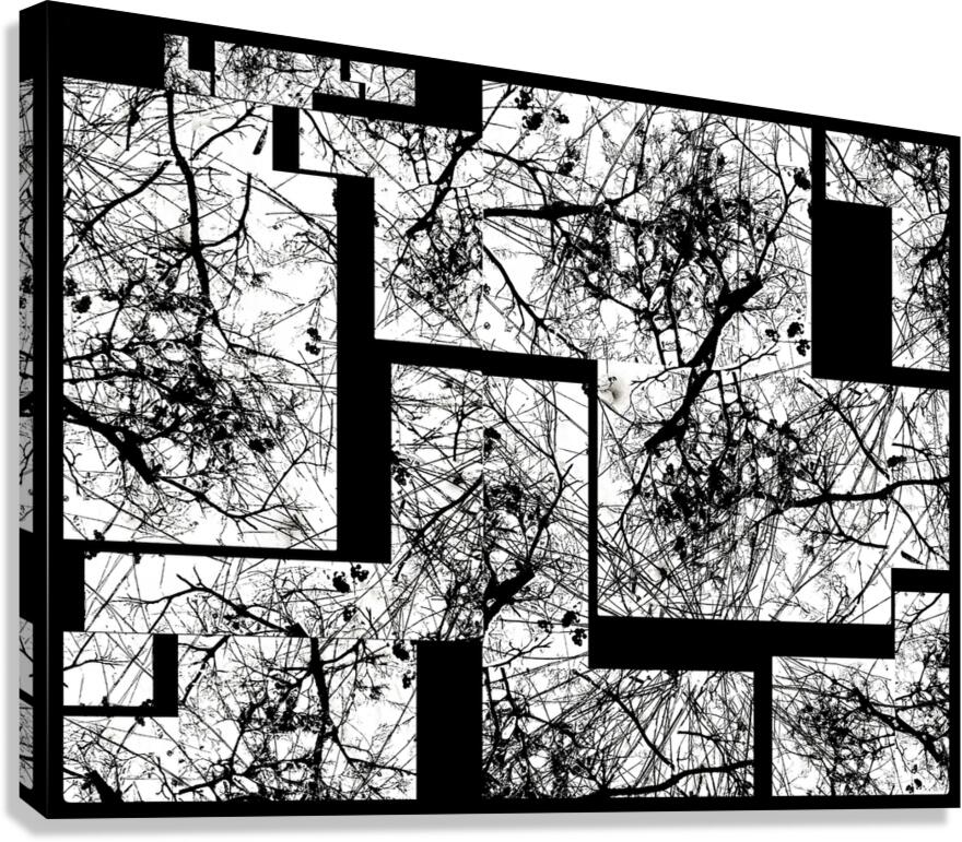 V977 Canvas Print