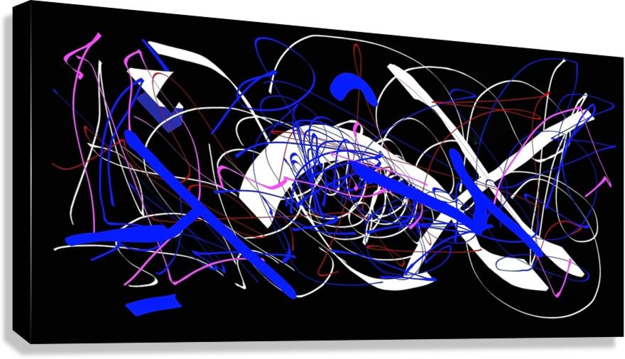 V980 Canvas Print