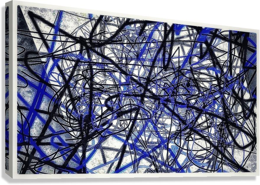 V981 Canvas Print