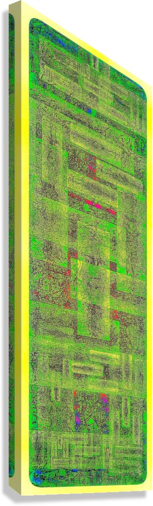 V982 Canvas Print
