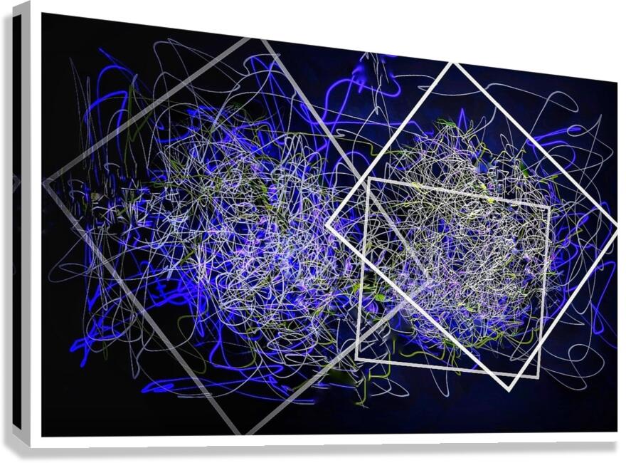 V983 Canvas Print