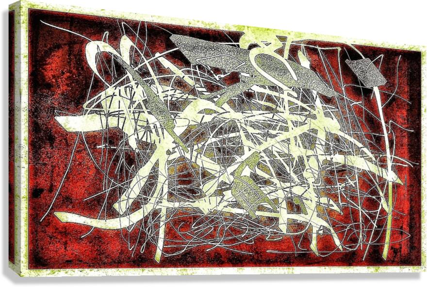 V984 Canvas Print