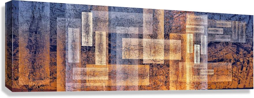 V985 Canvas Print