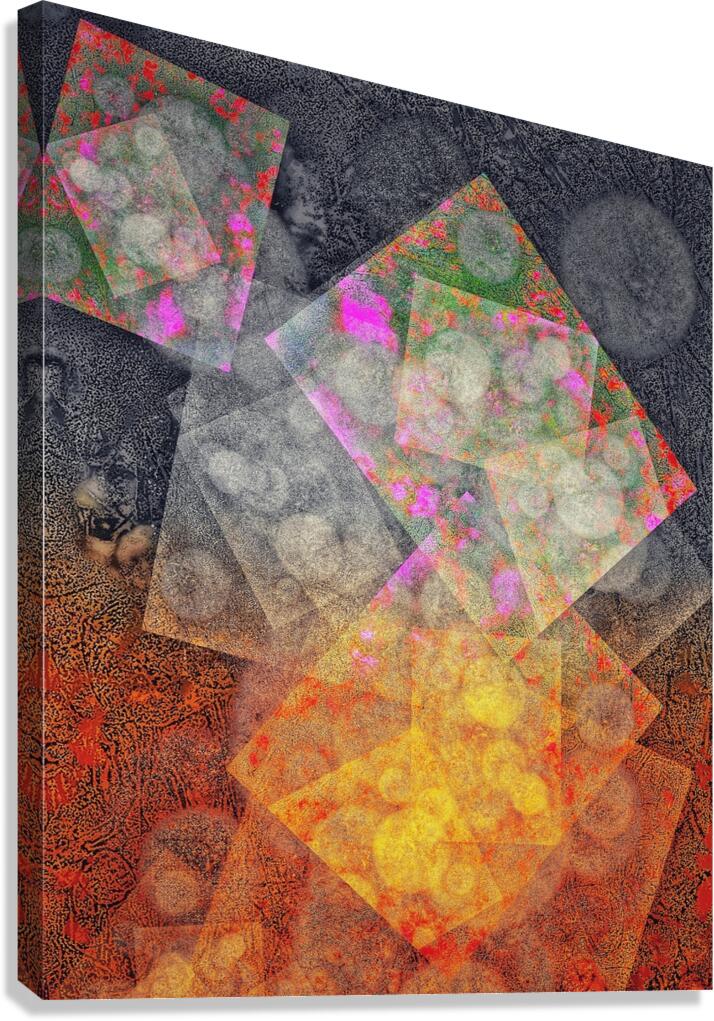 V989 Canvas Print