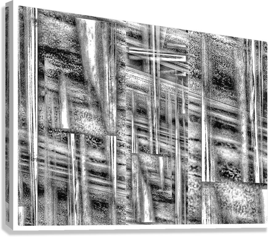V990 Canvas Print