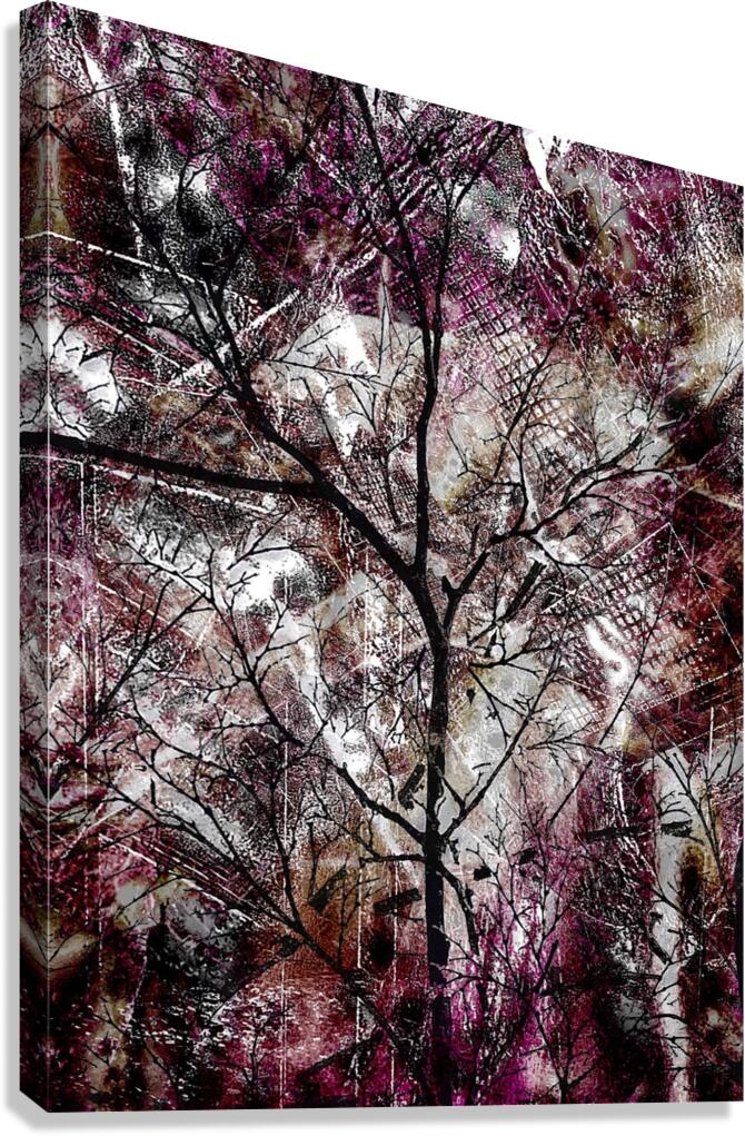 V991 Canvas Print