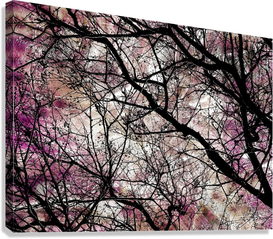 V992 Canvas Print