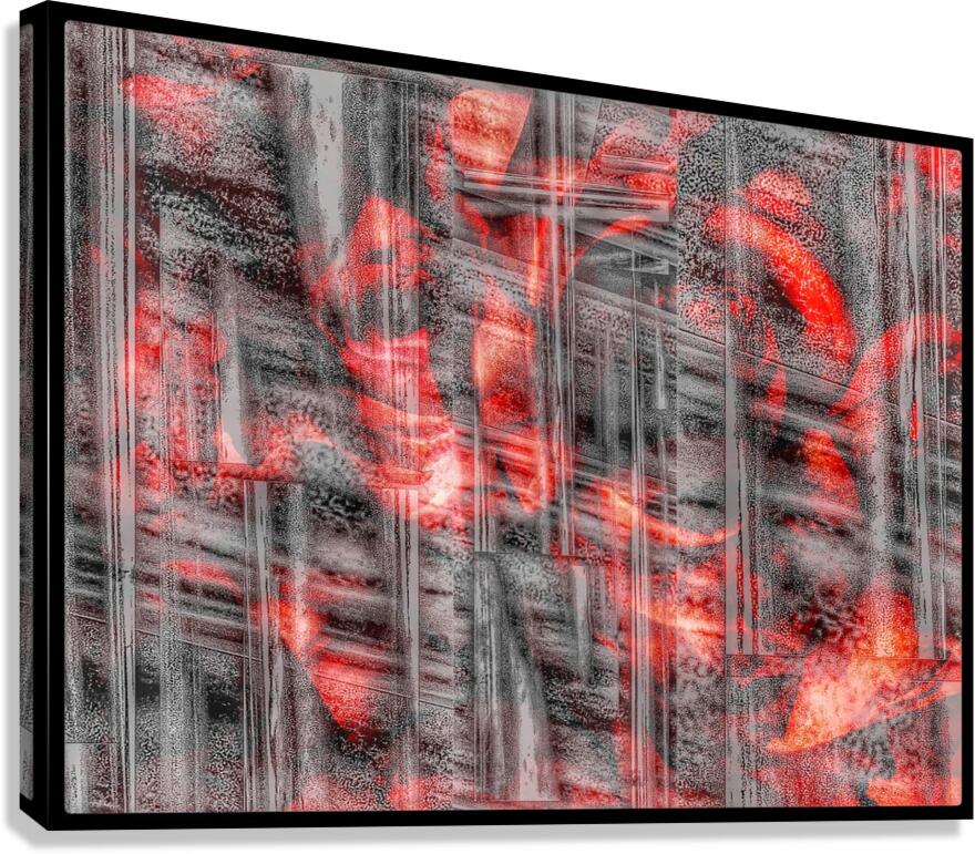 V993 Canvas Print