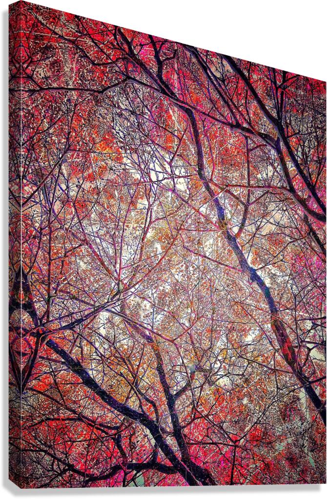 V995 Canvas Print