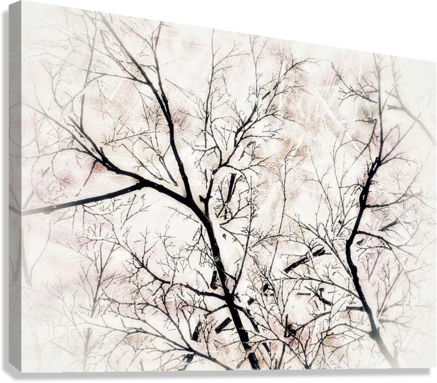 V996 Canvas Print
