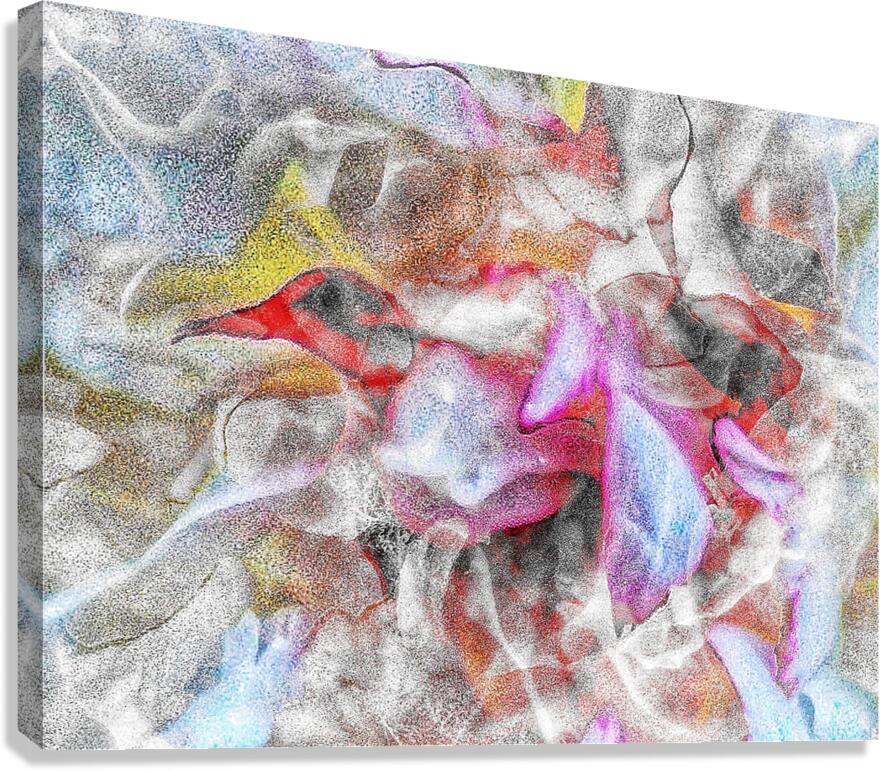 V999 Canvas Print