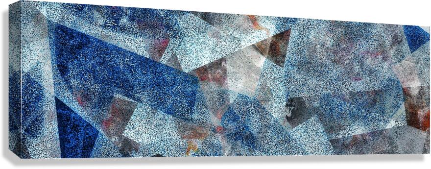 V1001 Canvas Print