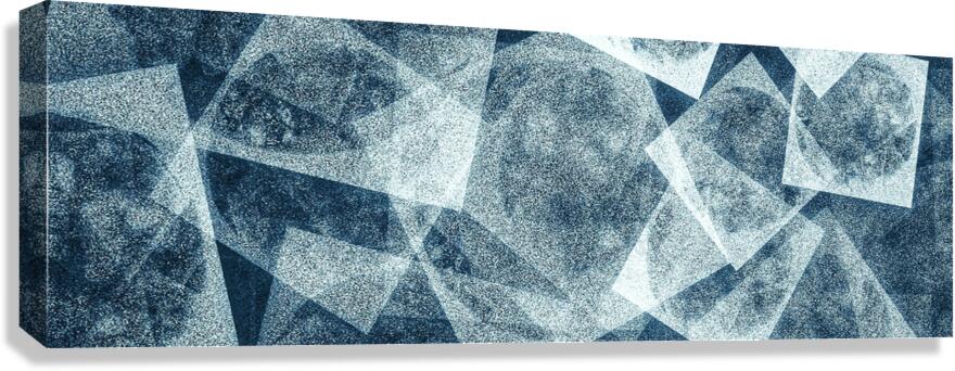 V1002 Canvas Print