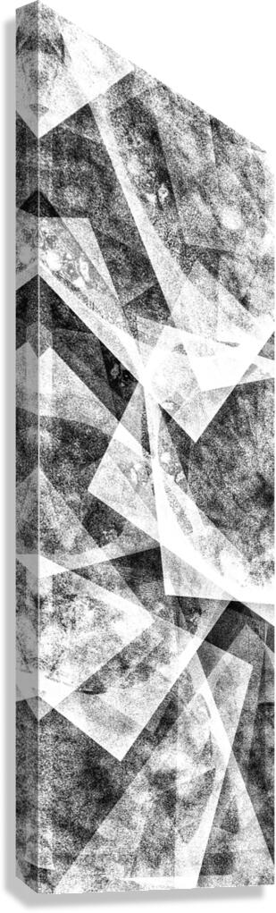 V1003 Canvas Print