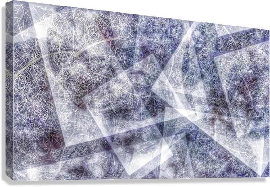 V1004 Canvas Print