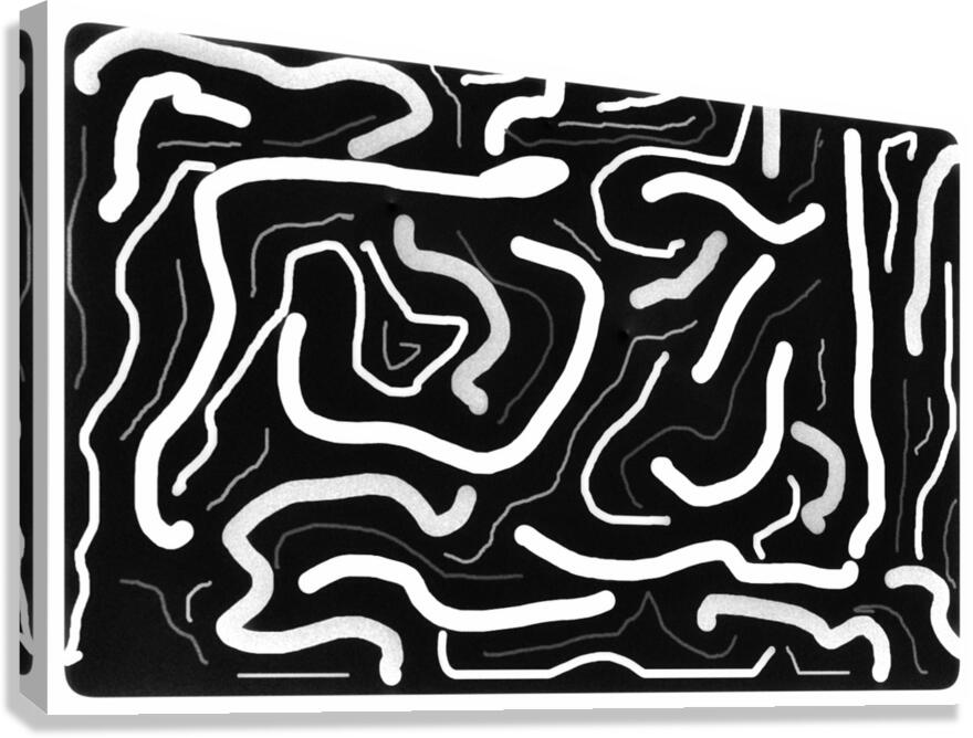 V1006 Canvas Print