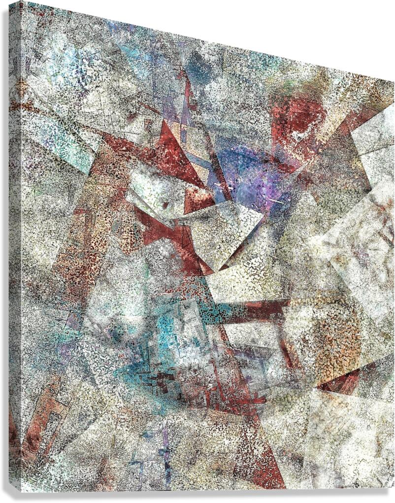 V1007 Canvas Print