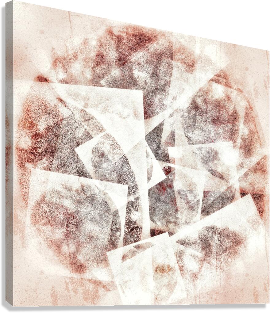 V1008 Canvas Print