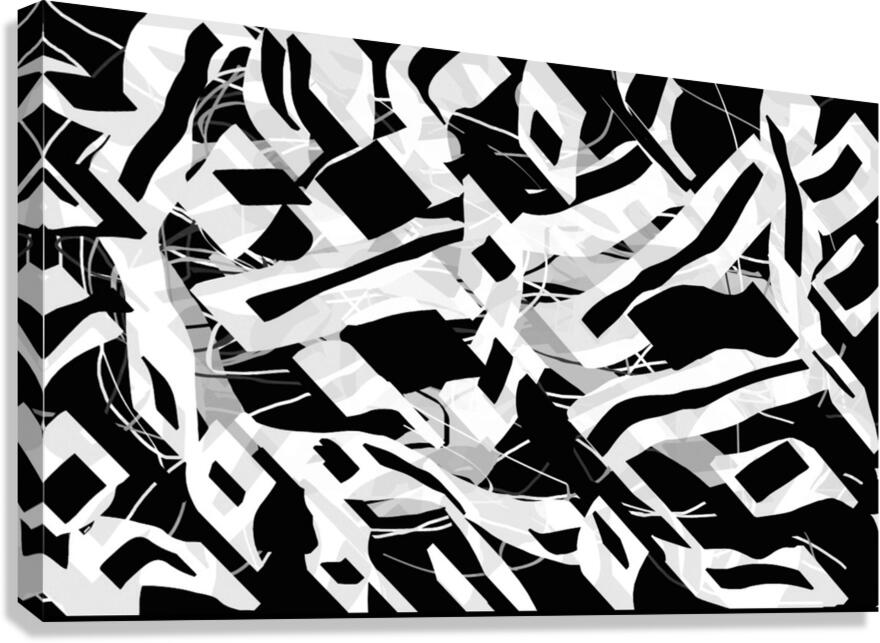 V1012 Canvas Print