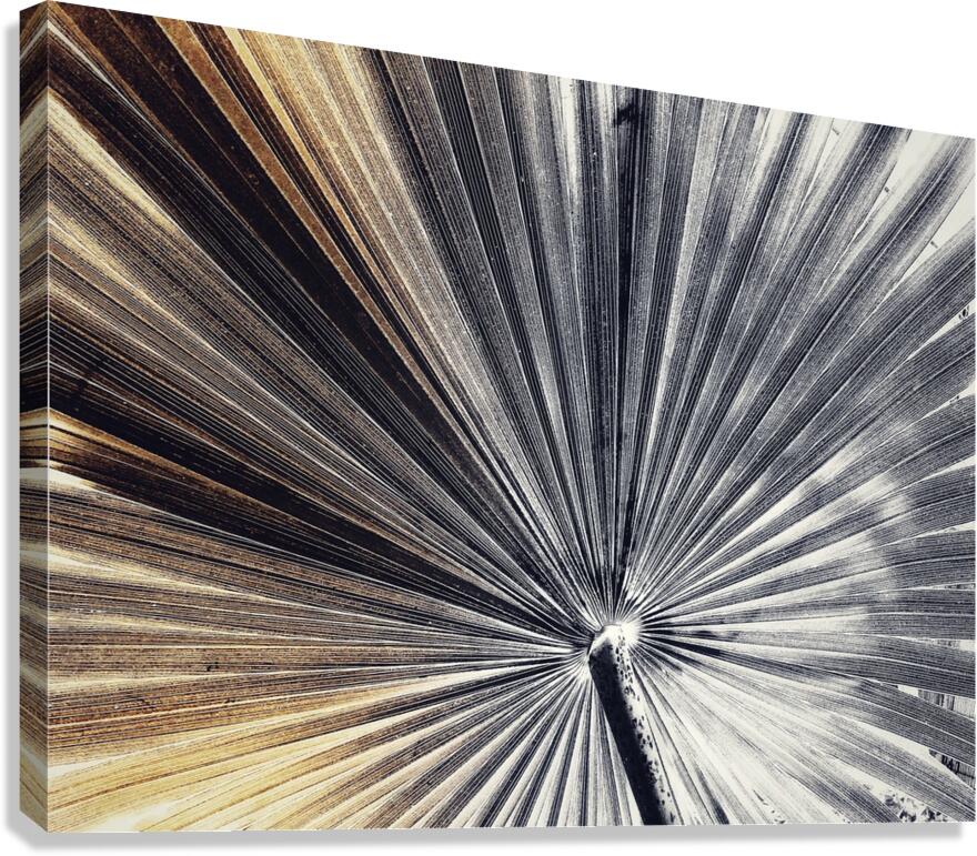 V1013 Canvas Print
