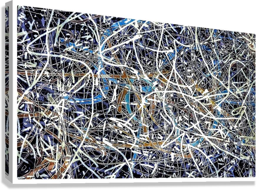 V1014 Canvas Print