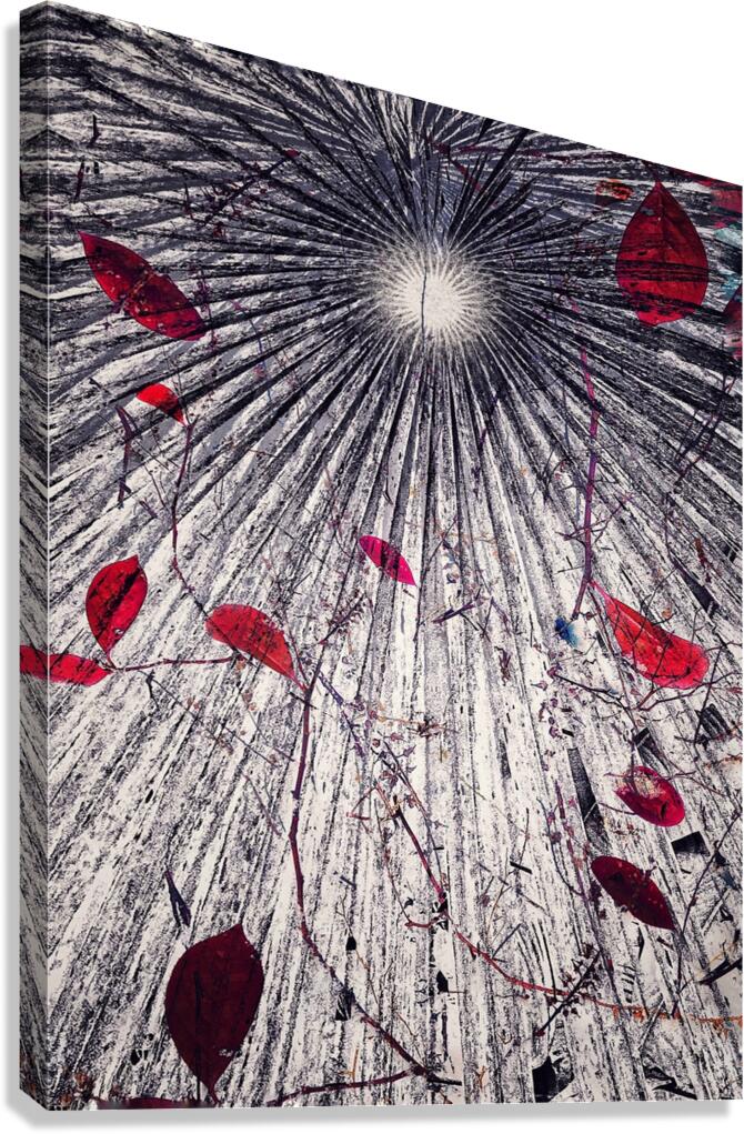 V1016 Canvas Print
