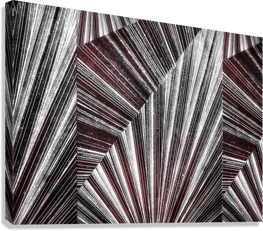V1018 Canvas Print