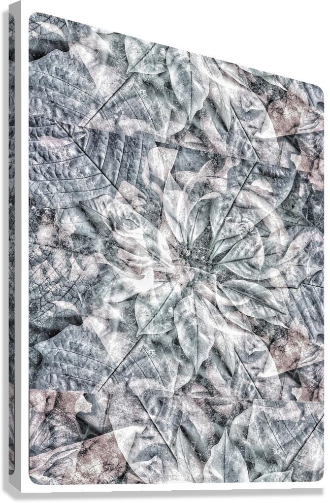 V1019 Canvas Print