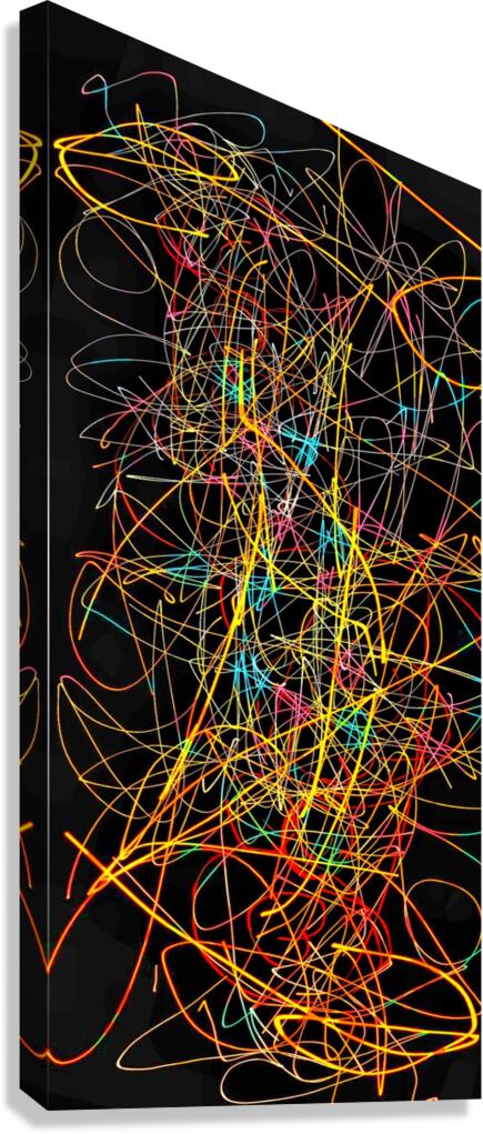 V1027 Canvas Print