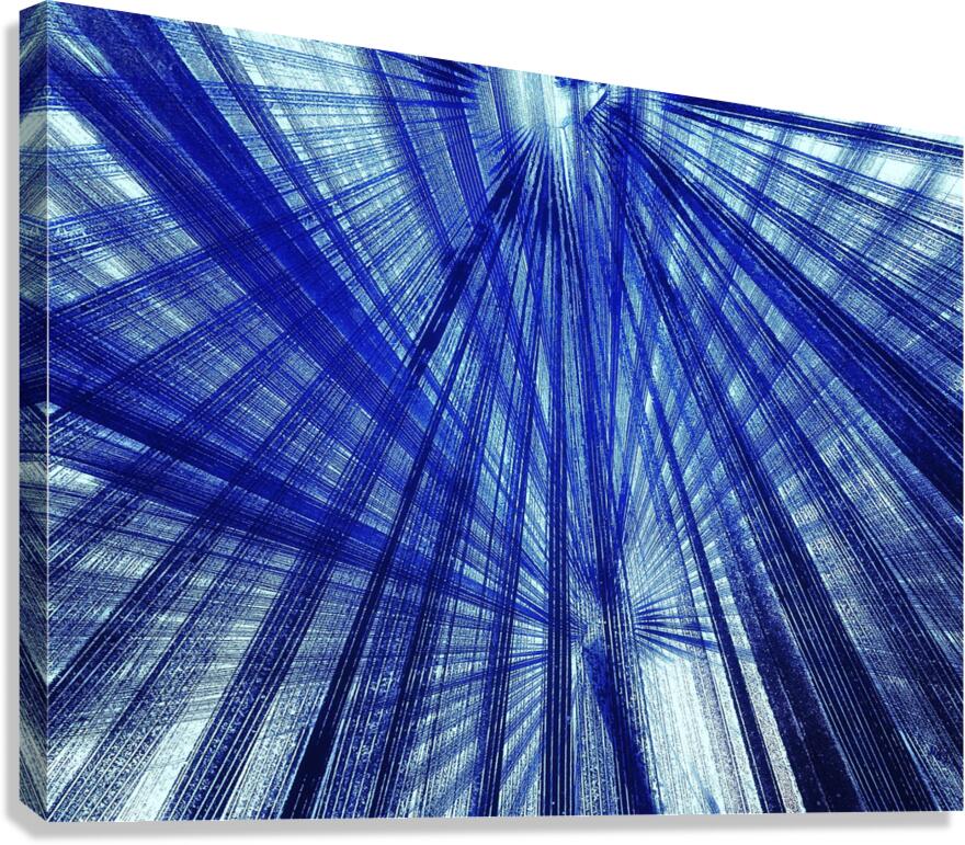 V1028 Canvas Print