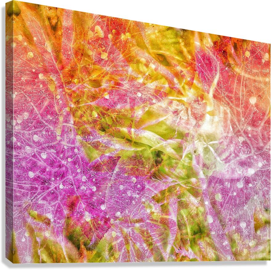V1029 Canvas Print