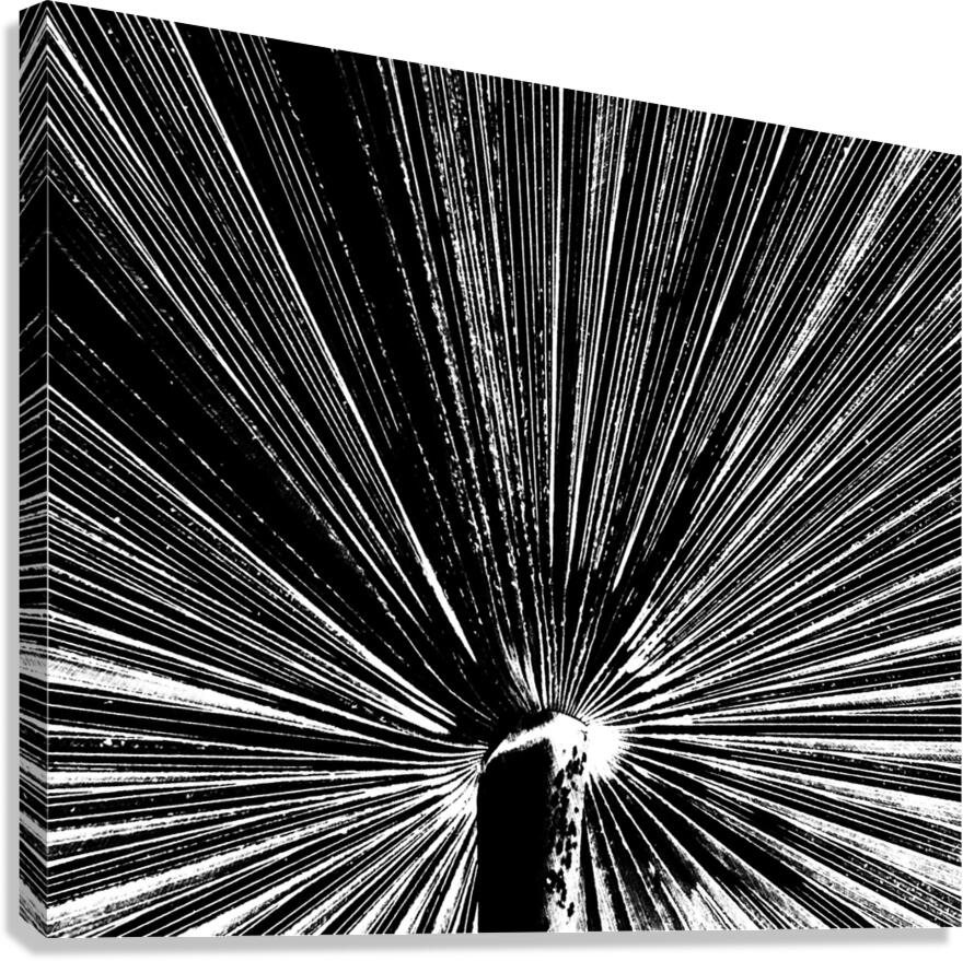 V1030 Canvas Print