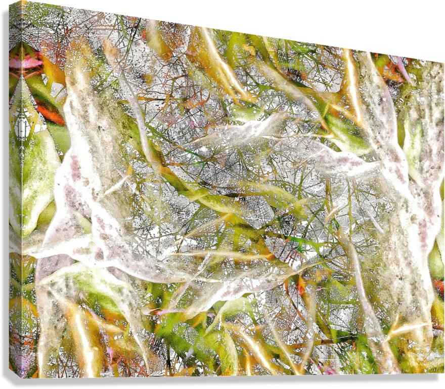 V1031 Canvas Print
