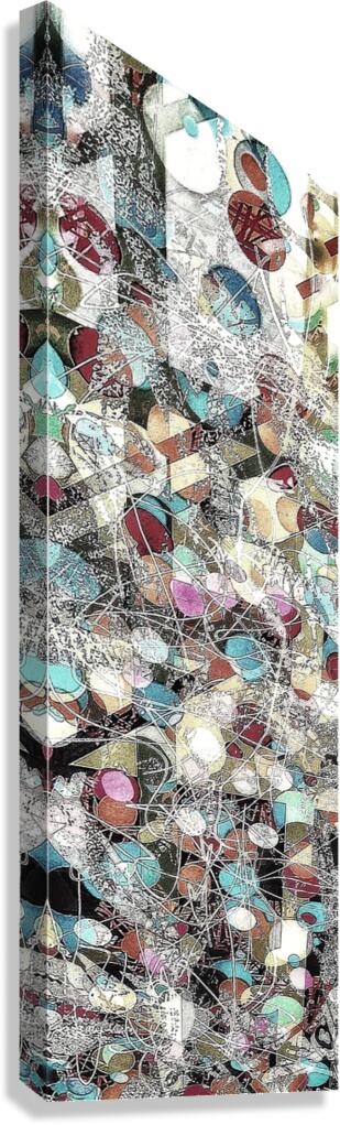 V1032 Canvas Print