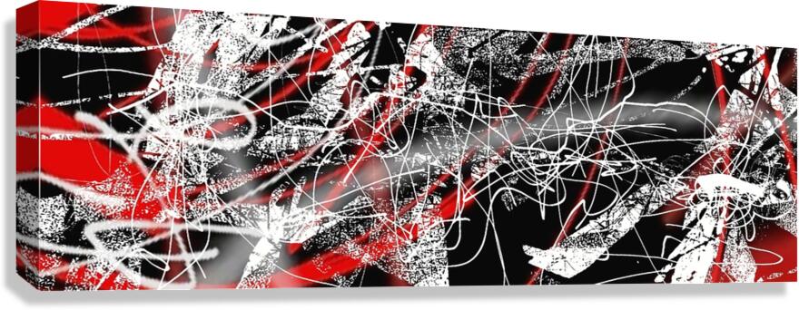 V1033 Canvas Print