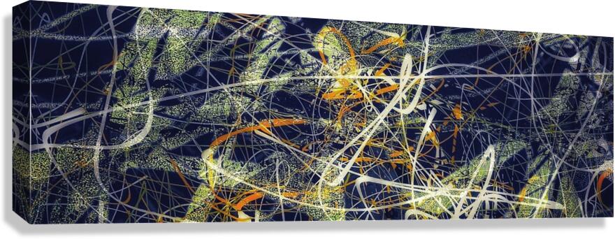 V1037 Canvas Print