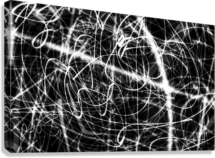 V1038 Canvas Print