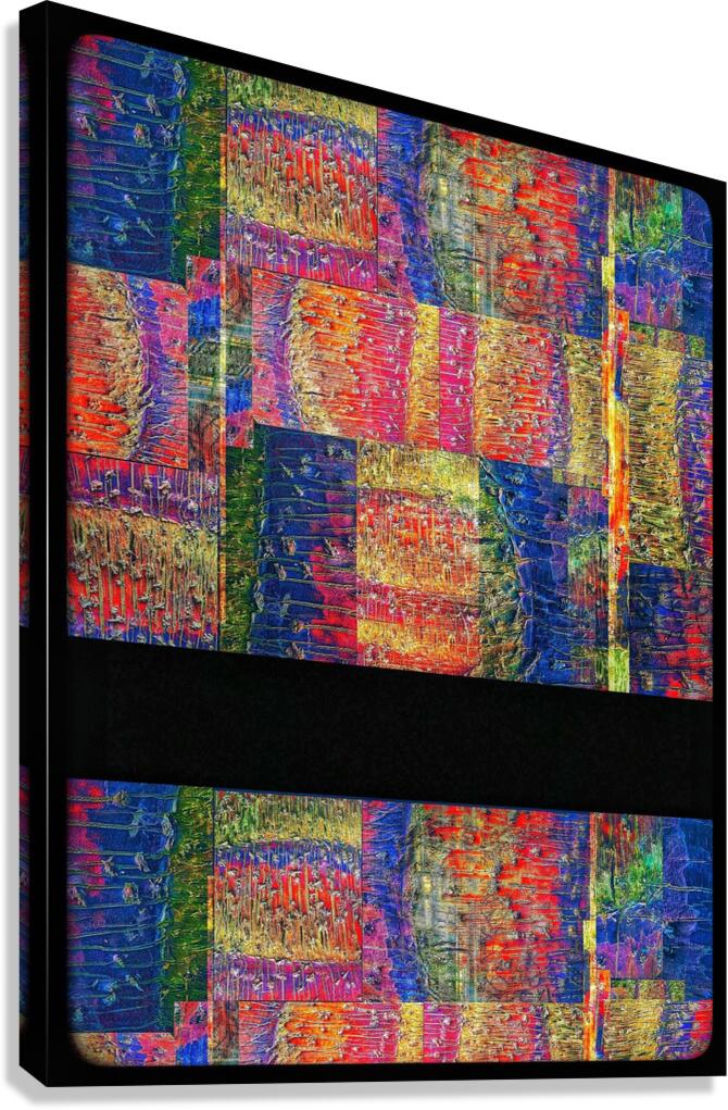 V1041 Canvas Print