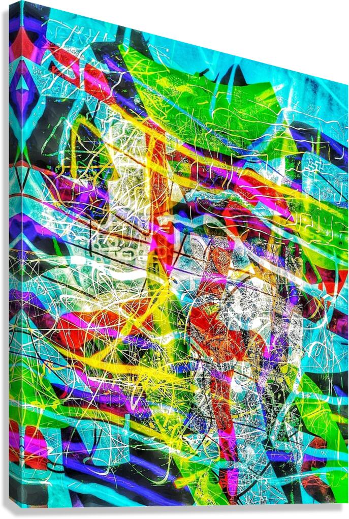 V1044 Canvas Print