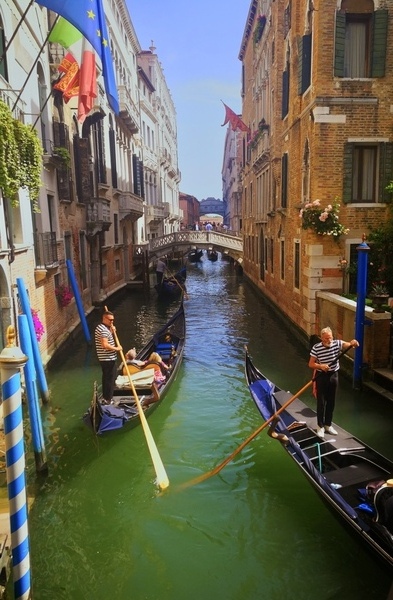 Summer in Venice Print