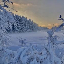 Winter Wonderland